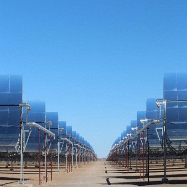 L’Algérie intéressée par la coopération avec le consortium DII Desert Energy