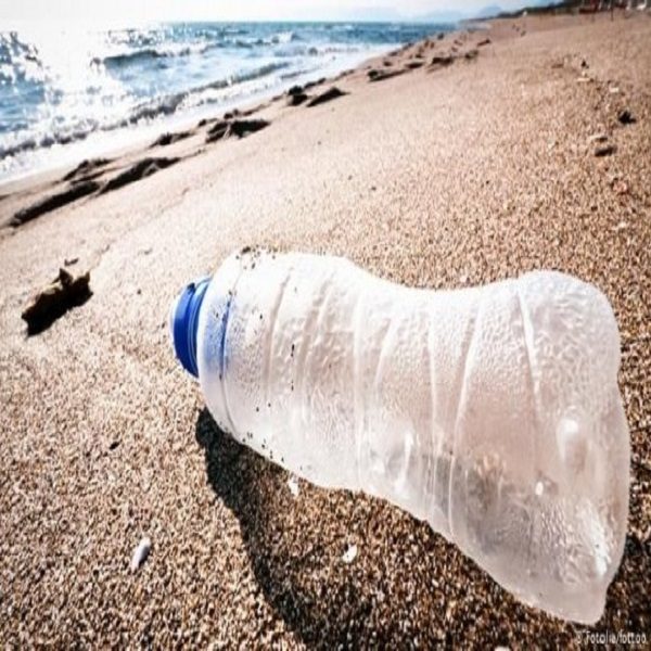 دراسة علمية تظهر كميات البلاستيك التي نتناولها أسبوعيا