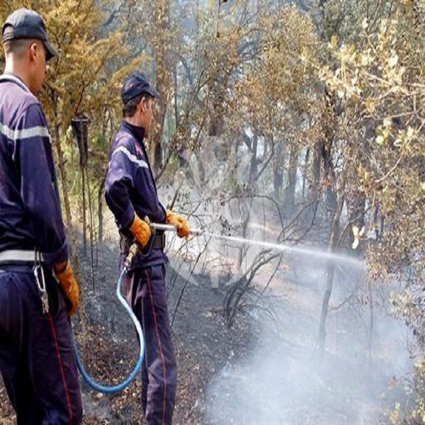 La pression sur les espaces forestiers aggrave les risques d’incendie