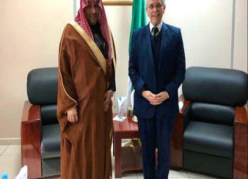 شيتور يتباحث فرص التعاون في مجال الطاقات المتجددة مع سفير السعودية بالجزائر
