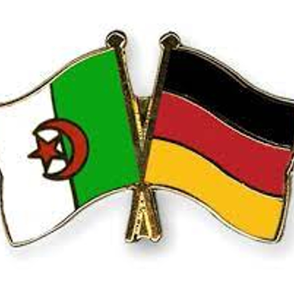 Algérie-Allemagne: Tebboune et Steinmeier s’accordent sur le renforcement des « relations dans le domaine de l’énergie »