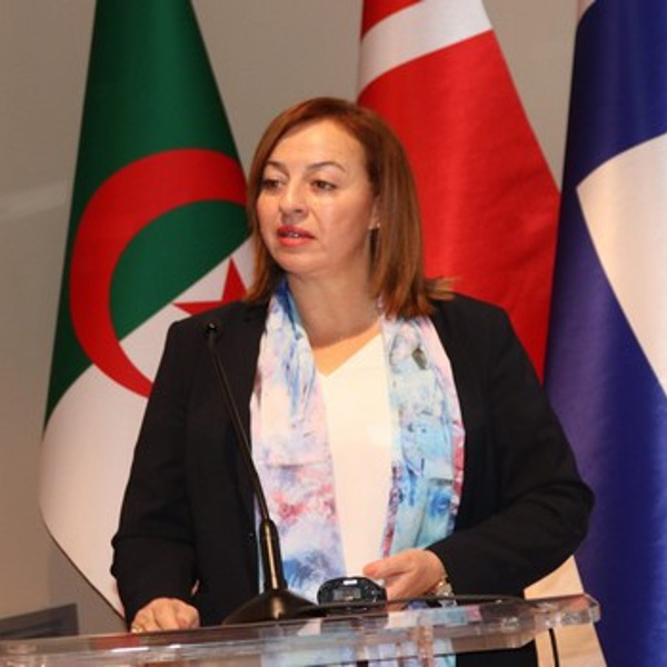 تعاون جزائري-اسكندنافي: ضرورة تكريس تعاون مفيد ومتوازن لمشاريع الاقتصاد المستدام