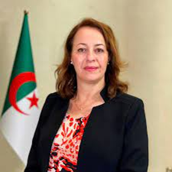 الجزائر تؤكد التزامها بتحقيق الانتقال نحو الطاقات المتجددة