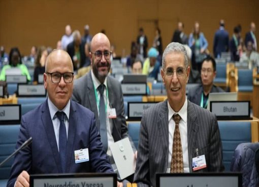 Intergovernmental Panel on Climate Change (IPCC): l’Algérie élue membre du Groupe de travail III, GIEG