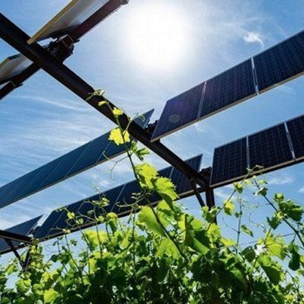 Energie solaire: un programme spécial pour les exploitations agricoles et les zones d’habitation éloignées