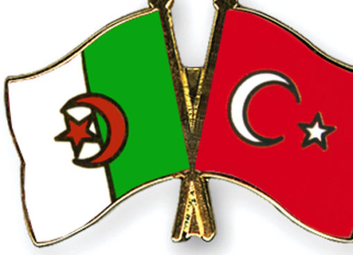 Algérie-Turquie : examen des moyens de coopération et d’investissement dans le domaine des énergies renouvelables