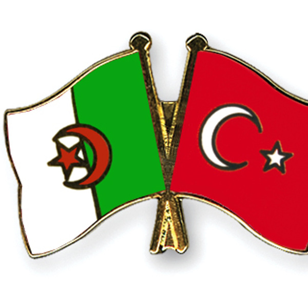 Algérie-Turquie : examen des moyens de coopération et d’investissement dans le domaine des énergies renouvelables
